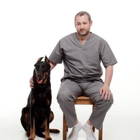 Кастрация и Стерилизация