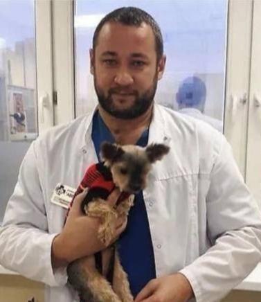 Кастрация и Стерилизация