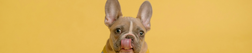 Мы перезвоним