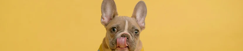 Мы перезвоним